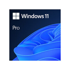 WINSVR RDSCAL 2025 5Device
