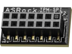 ASRock TPM-SPI bulk