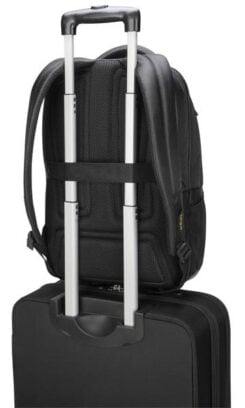 Targus Citygear 43,9 cm (17.3") Rugzak Zwart - Afbeelding 6