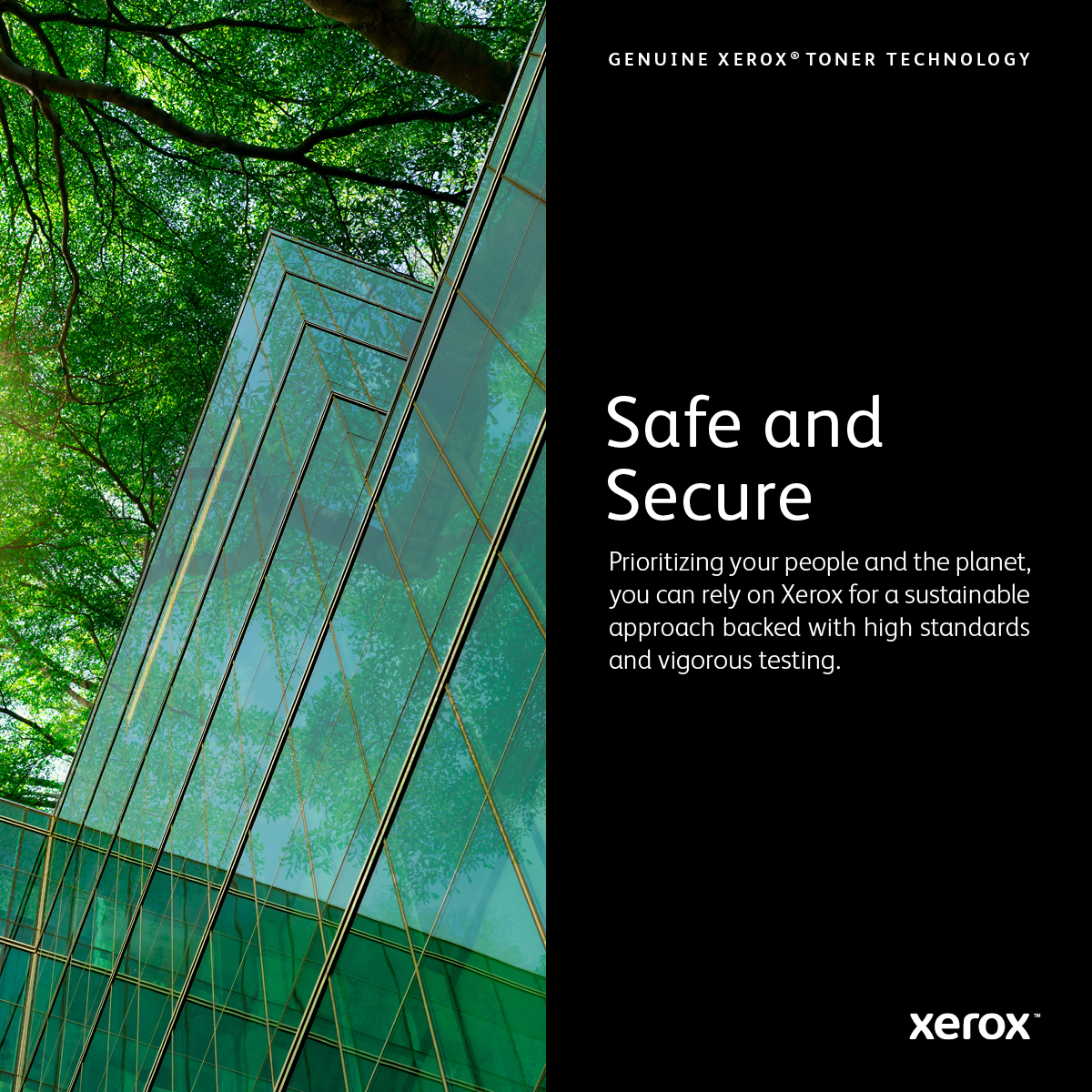 Xerox Phaser 5550 tonercartridge - Afbeelding 9