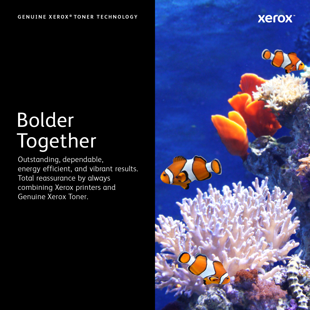 Xerox Phaser 5550 tonercartridge - Afbeelding 12