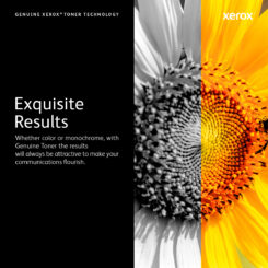 Xerox Phaser 5550 tonercartridge - Afbeelding 8