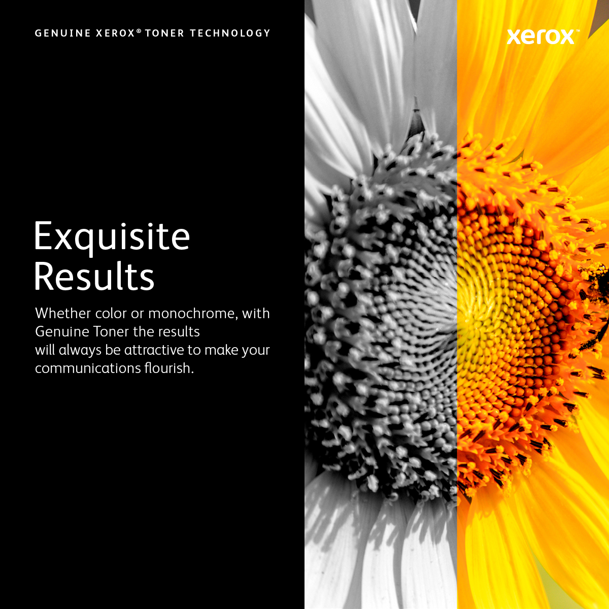 Xerox Phaser 5550 tonercartridge - Afbeelding 8