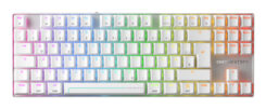 CHERRY MX 8.2 Pro TMR Wireless toetsenbord Gamen USB + RF Wireless + Bluetooth QWERTZ Duits Zilver, Wit