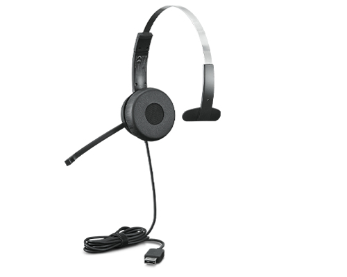 Hoofdtelefoons/headsets