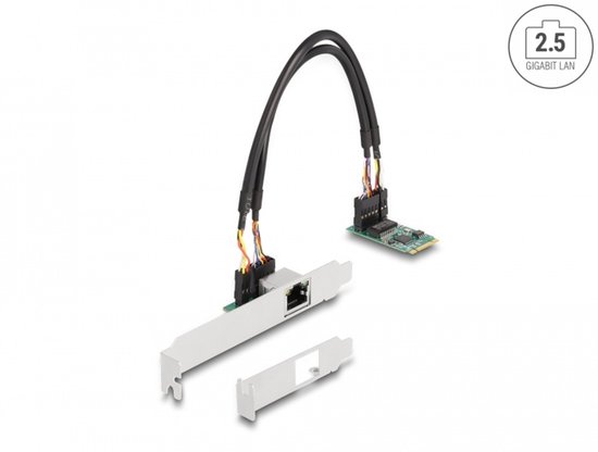 DELOCK Converter M.2 Key B+M 1 x RJ45 2,5 Gigabit LAN