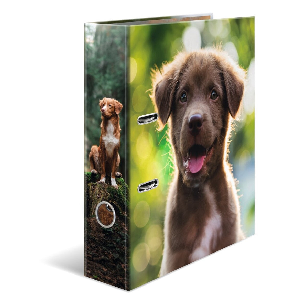 HERMA Ordner A4 Karton Hund