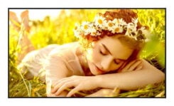 LG 55UL5Q-E beeldkrant Digitale signage flatscreen 139,7 cm (55") LED Wifi 500 cd/m² 4K Ultra HD Zwart WebOS 24/7