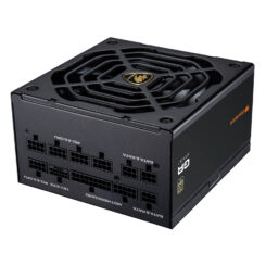 COUGAR CGRGDN-1000 power supply unit 1000 W 20+4 pin ATX ATX Zwart