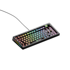 Glorious Gaming GMMK 3 75% Barebones toetsenbord Gamen USB Nee Zwart