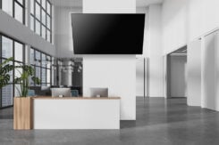 Neomounts WL35-750BL18 Heavy duty muurbeugel 55-98" - kantelbaar - vergrendelbaar - snelle installatie - TÜV - Afbeelding 19