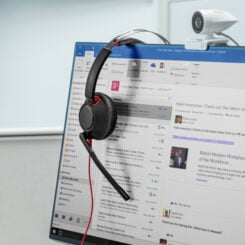 HP Poly Blackwire 5220 stereo USB-C-headset + 3,5 mm stekker + USB-C/A-adapter (bulk) - Afbeelding 3