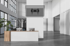 Neomounts WL35-750BL16 Heavy duty muurbeugel 42-86" - kantelbaar - vergrendelbaar - snelle installatie - TÜV - Afbeelding 18