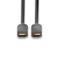 Lindy 36480 DisplayPort kabel 0,5 m Zwart - Afbeelding 5