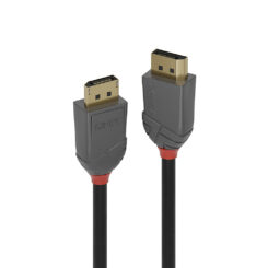 Lindy 36480 DisplayPort kabel 0,5 m Zwart - Afbeelding 2