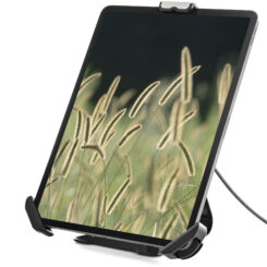 StarTech.com Beveiligde Tabletstandaard met K-Slot Kabelslot - Vergendelbare Tablethouder voor 7.9"-13" Tablets - Universele Verstelbare Tabletsteun voor Bureau - Anti-diefstal Tabel Stand - Afbeelding 12
