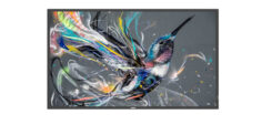 Philips 50BDL3511Q/00 beeldkrant Digitaal A-kaart 127 cm (50") 500 cd/m² 4K Ultra HD Zwart 18/7 - Afbeelding 2