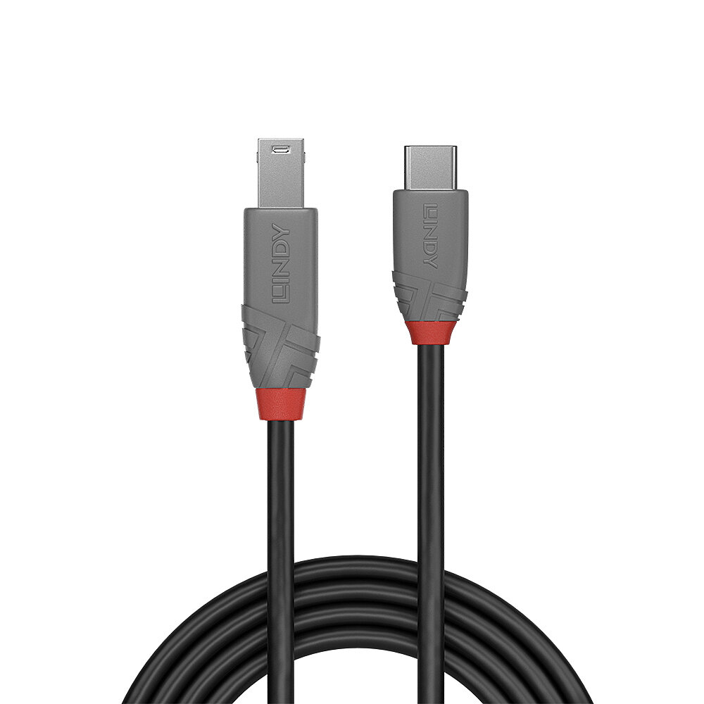 Lindy 36667 USB-kabel USB 3.2 Gen 1 (3.1 Gen 1) 2 m USB C USB B Zwart - Afbeelding 3
