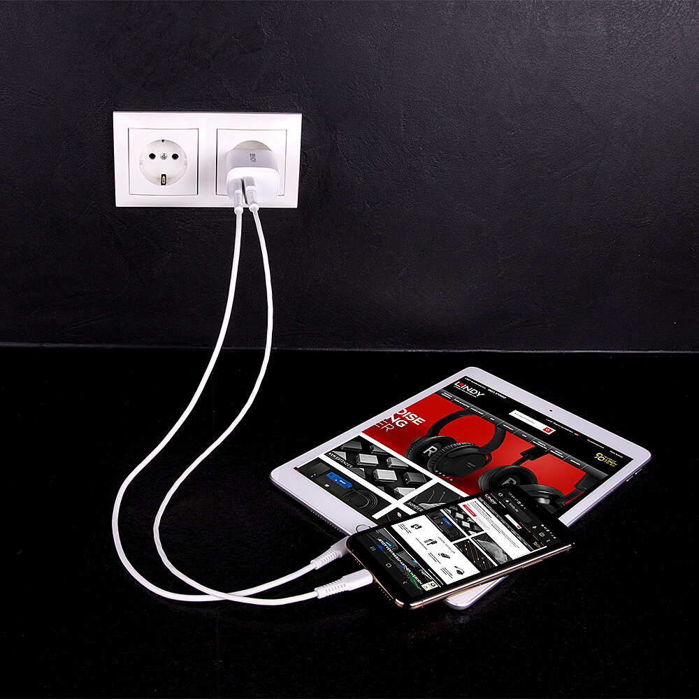 Lindy 73413 oplader voor mobiele apparatuur Universeel Wit AC Snel opladen Binnen - Afbeelding 5