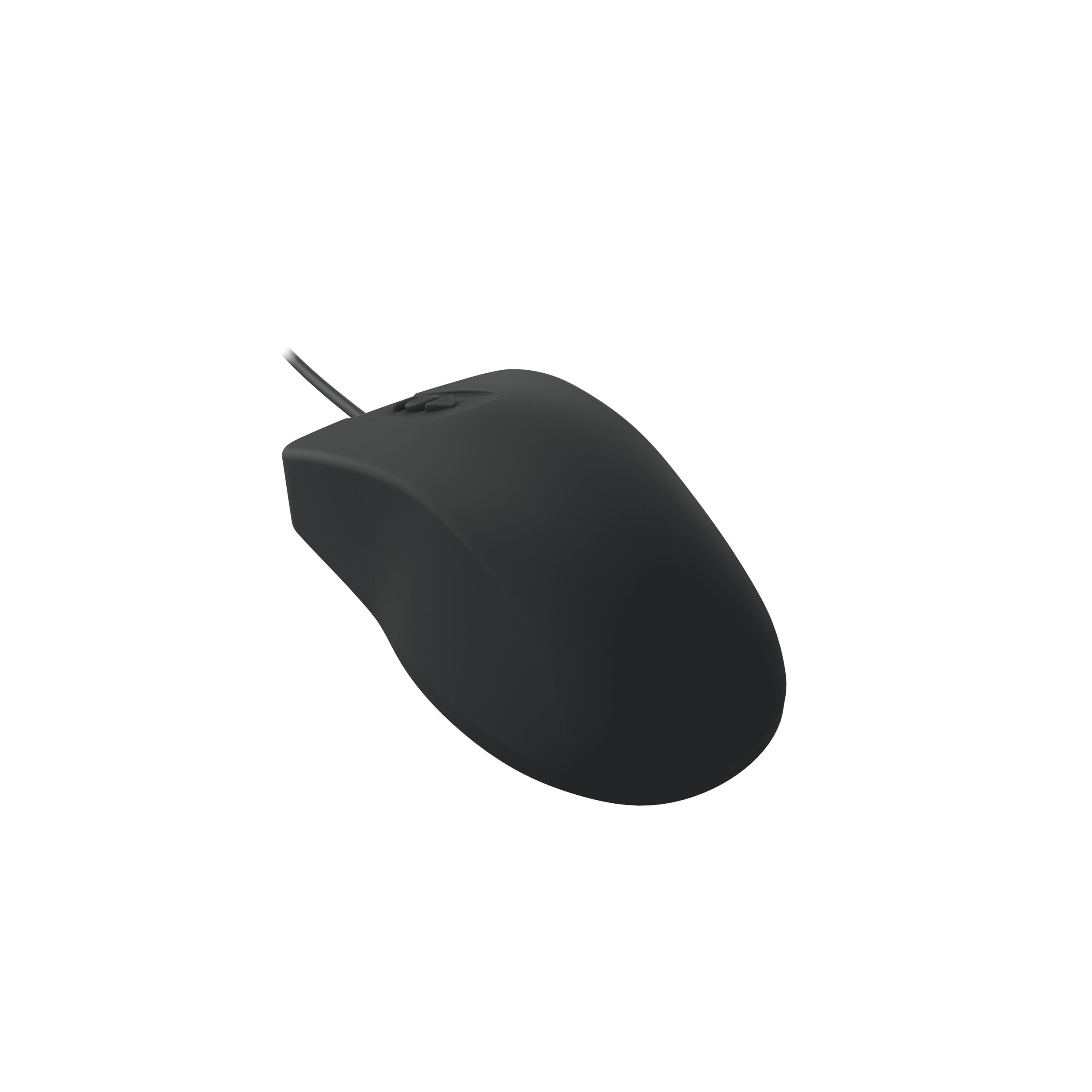 Contour Design Active Key AK-PMH12 muis Medisch Ambidextrous USB Type-A Optisch 1000 DPI - Afbeelding 3