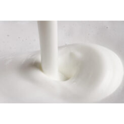 Senseo Milk Twister CA6500/60 Melkopschuimer - Afbeelding 13