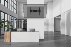 Neomounts WL35-750BL18 Heavy duty muurbeugel 55-98" - kantelbaar - vergrendelbaar - snelle installatie - TÜV - Afbeelding 18