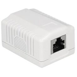 DeLOCK 86196 wandcontactdoos RJ-45 Wit