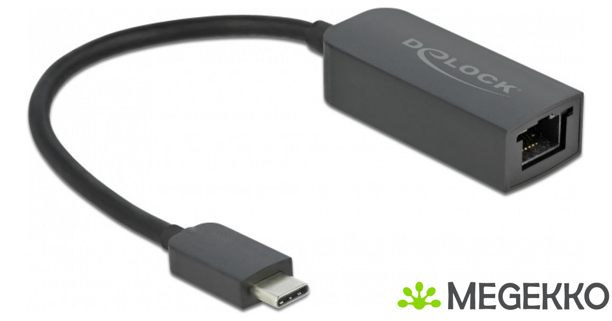 DeLOCK 66645 tussenstuk voor kabels USB Type-C LAN RJ45 Zwart