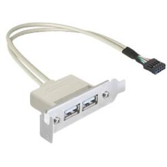Slotblech USB 2.0 Low Profile, 2 Port, 0.5m
