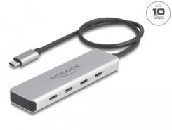 DeLOCK 64231 interface hub USB Type-C 10000 Mbit/s Grijs
