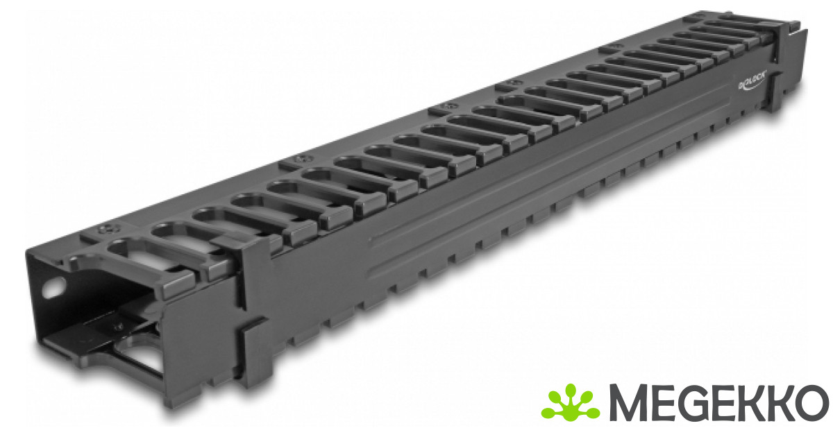 DeLOCK 67022 rack-toebehoren Paneel voor kabelbeheer