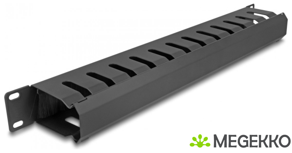 DeLOCK 67069 rack-toebehoren Paneel voor kabelbeheer