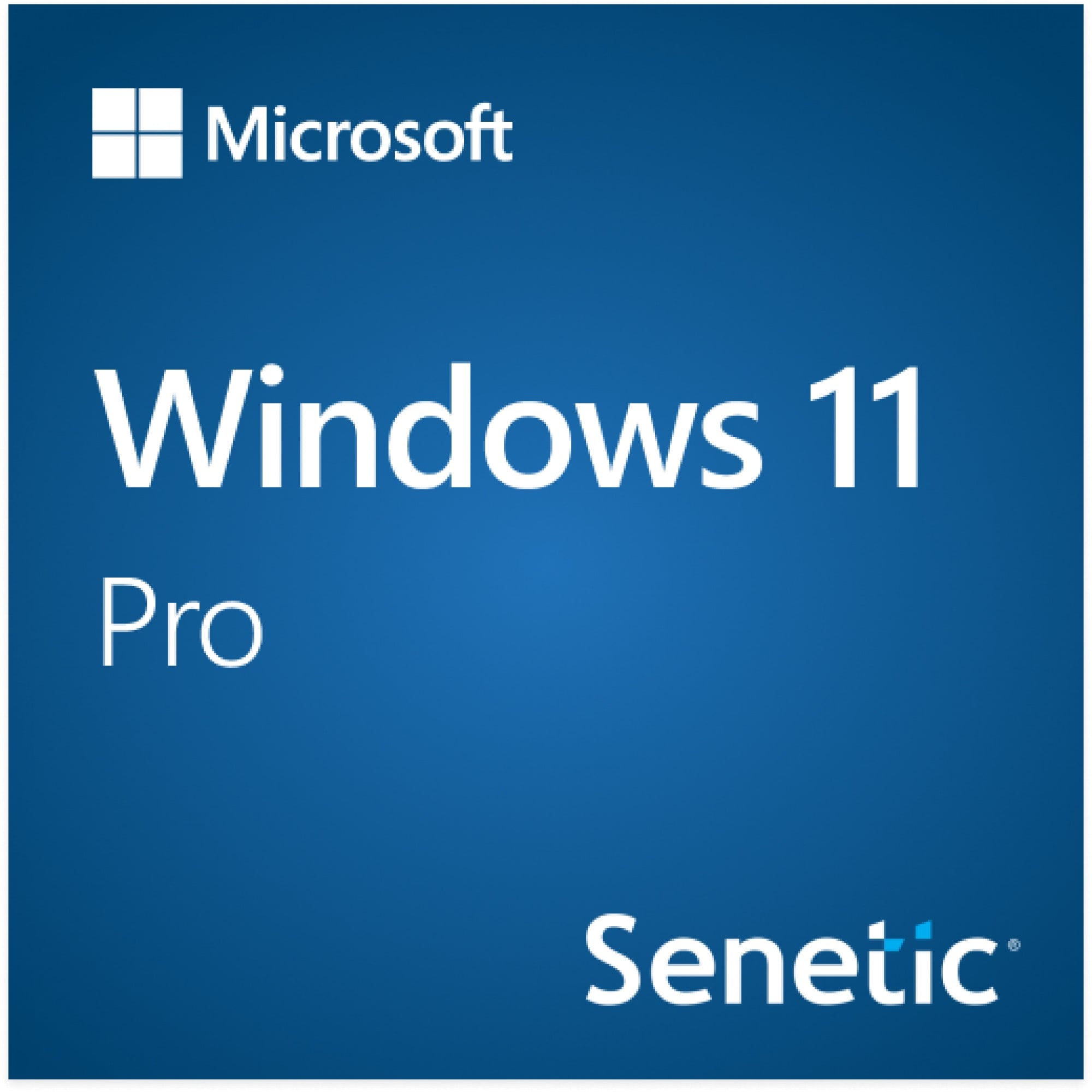 Win 11 Pro 64Bit Eng Intl 1pk DSP OEI DVD