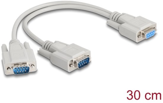 DeLOCK 67160 seriële kabel Beige 0,3 m DB-9