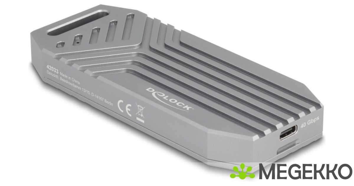DeLOCK 42033 behuizing voor opslagstations SDD-behuizing Grijs M.2