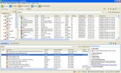 APC StruxureWare Data Center Expert; alleen 100 knooppunten-licentie