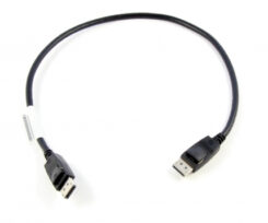 Lenovo 0.5m DisplayPort 0,5 m Zwart - Afbeelding 2