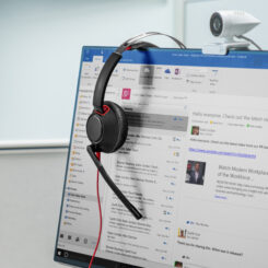 HP Poly Blackwire 5220 Stereo USB-C Headset + 3,5 mm plug + USB-C/A adapter - Afbeelding 3