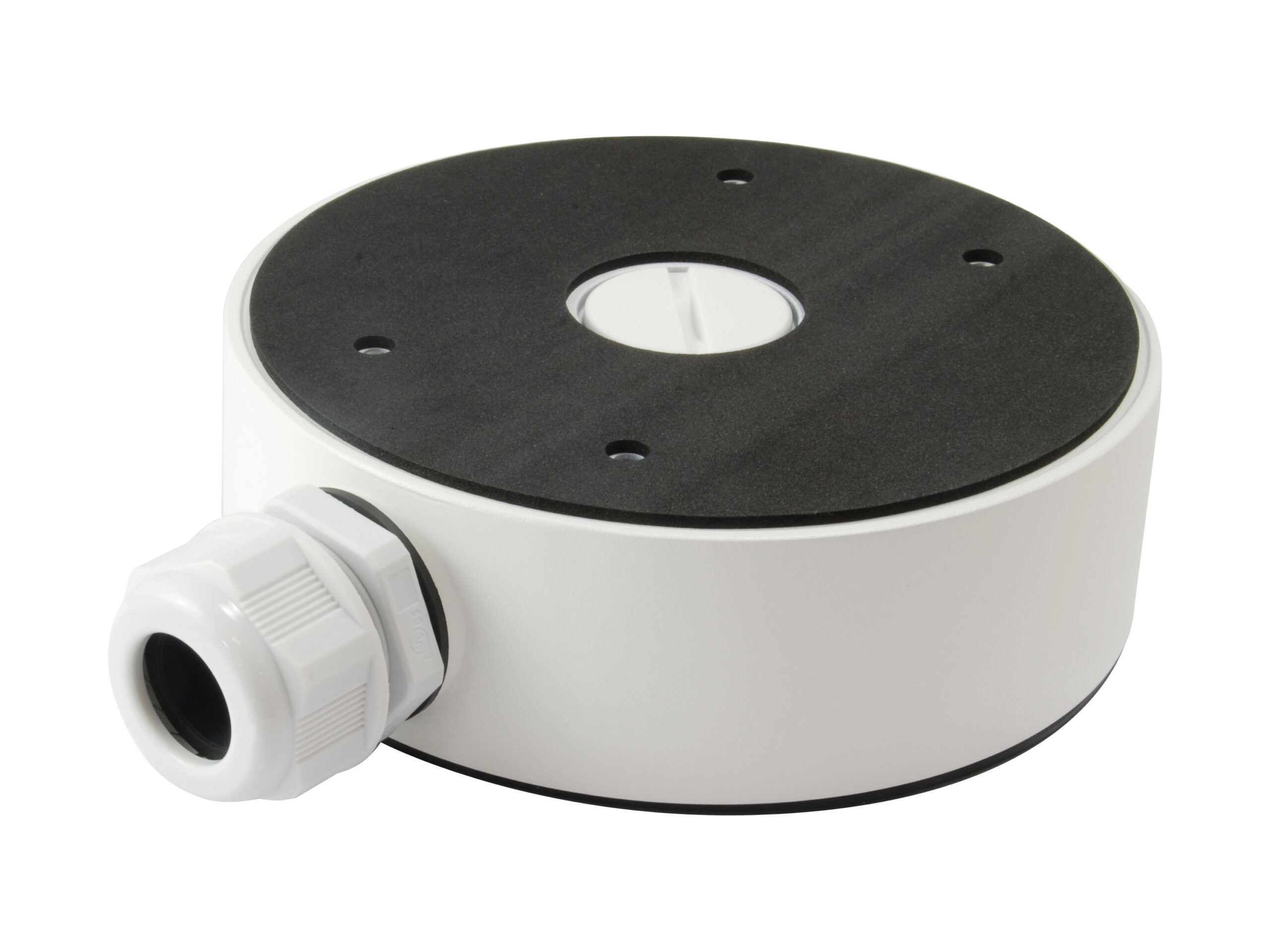 LevelOne CAS-7319 beveiligingscamera steunen & behuizingen Support - Afbeelding 3