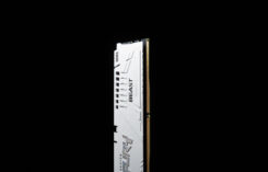 Kingston Technology FURY Beast 16GB 5600MT/s DDR5 CL36 DIMM White EXPO - Afbeelding 10