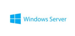 Lenovo Windows Server 2019 Client Access License (CAL) 10 licentie(s)