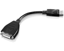 Lenovo 45J7915 video kabel adapter 0,2 m DVI-D DisplayPort Zwart - Afbeelding 2