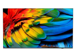 Philips 50HFL6214U 127 cm (50") 4K Ultra HD Smart TV Wifi Antraciet 400 cd/m² Oprolbaar scherm