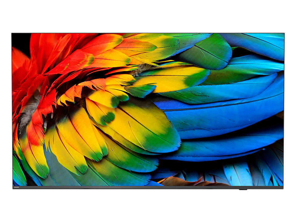 Philips 50HFL6214U 127 cm (50") 4K Ultra HD Smart TV Wifi Antraciet 400 cd/m² Oprolbaar scherm