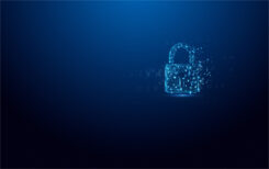 Kingston Technology IronKey 32GB Vault Privacy 50 AES-256 versleuteling, FIPS 197 - Afbeelding 6
