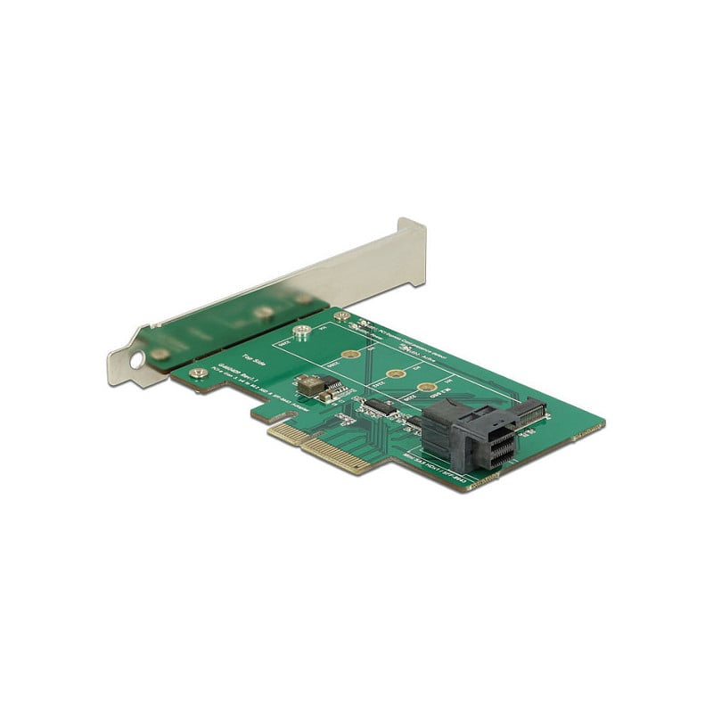 DeLOCK 89517 interfacekaart/-adapter Intern M.2