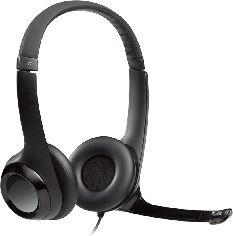 H390 USB Headset
