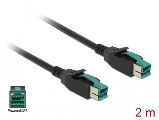 DeLOCK 85493 electriciteitssnoer Zwart 2 m PoweredUSB
