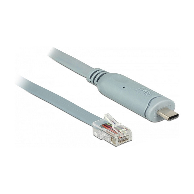 DeLOCK 89893 seriële kabel Grijs 1 m USB 2.0 Type-C RJ45