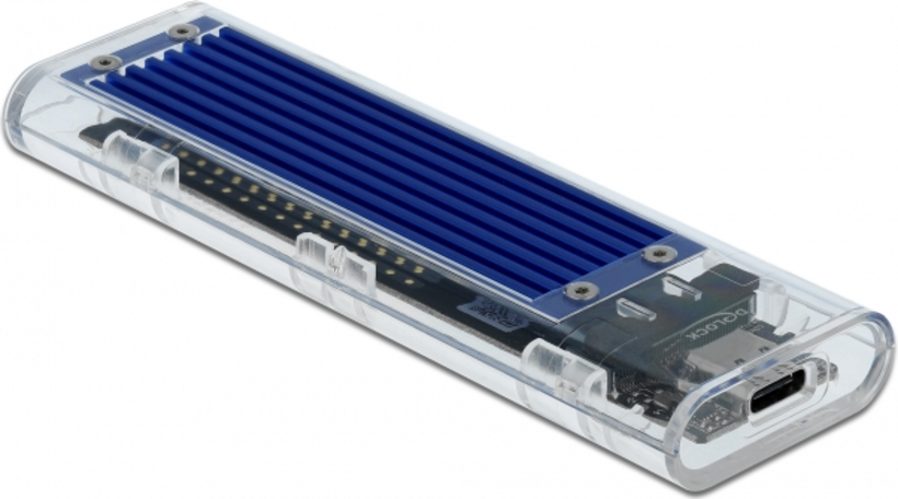 DeLOCK 42620 behuizing voor opslagstations SDD-behuizing Blauw M.2